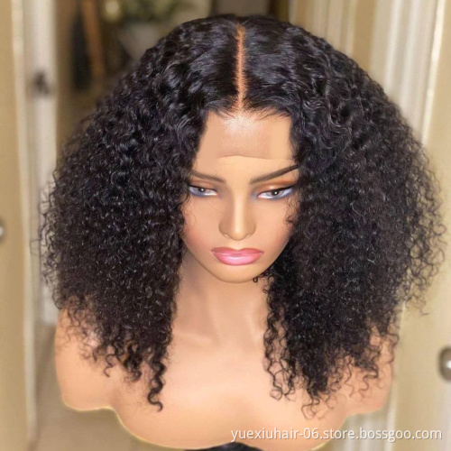 HD Lace wigs Frontal Human Hair Wigs for Black Women wholesale Remy Brazilian Curly Lace Front Wig Pre-Plucked With Baby Hair